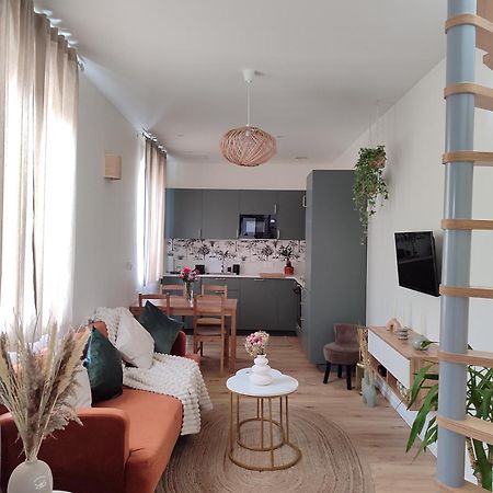 Maison Cosy Terrasse Ensoleille Clermont-Ferrand Kültér fotó